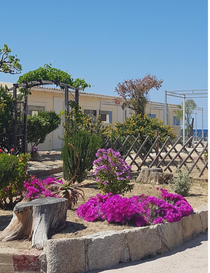 אלגז'ולה L'Escale Plage מראה חיצוני תמונה